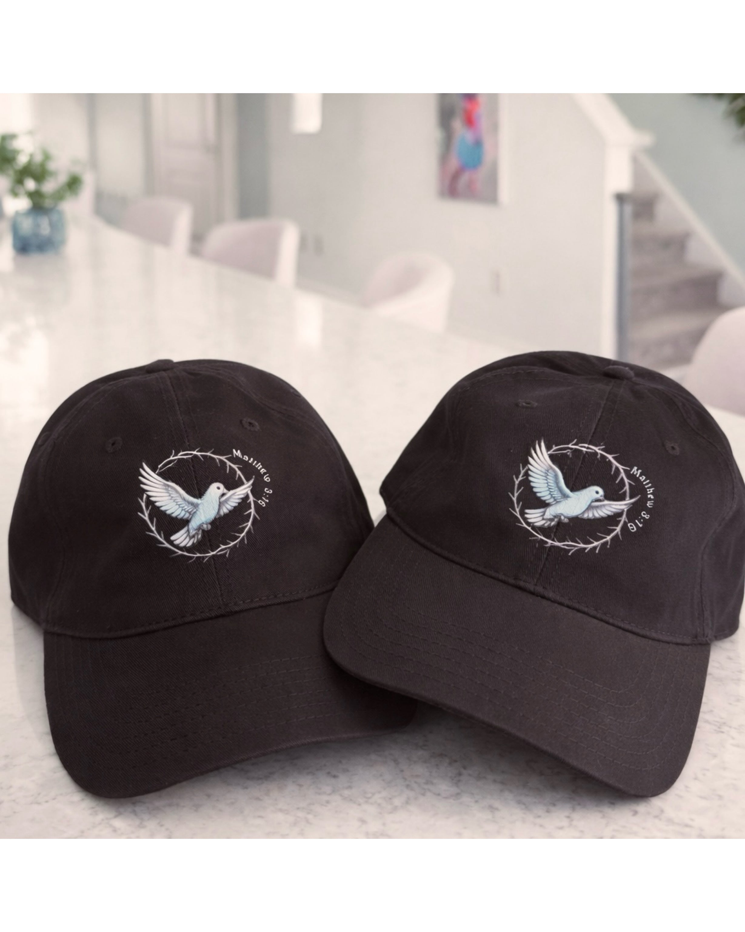 Dove Matthew 3:16 Garment Washed Baseball cap